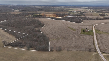 Hunting Land for Sale in Vernon County, Wisconsin - image 3