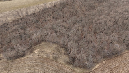 Hunting Land for Sale in Vernon County, Wisconsin - image 25