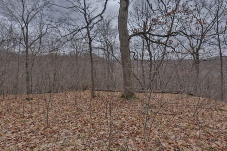 Hunting Land for Sale in Vernon County, Wisconsin - image 35