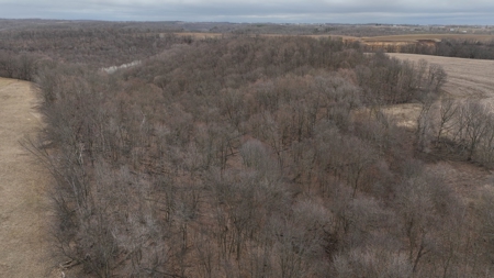 Hunting Land for Sale in Vernon County, Wisconsin - image 28