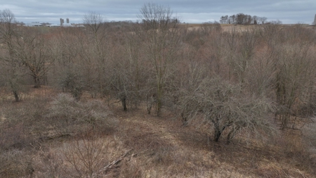 Hunting Land for Sale in Vernon County, Wisconsin - image 14