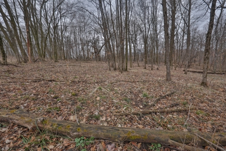 Hunting Land for Sale in Vernon County, Wisconsin - image 33