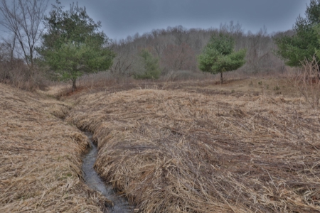 Hunting Land for Sale in Vernon County, Wisconsin - image 29