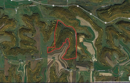 Hunting Land for Sale in Vernon County, Wisconsin - image 47