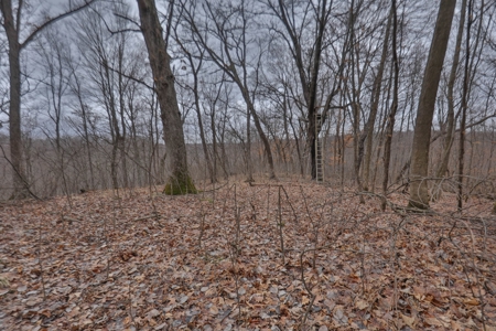 Hunting Land for Sale in Vernon County, Wisconsin - image 32