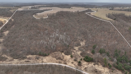 Hunting Land for Sale in Vernon County, Wisconsin - image 5