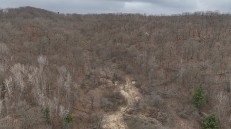 Hunting Land for Sale in Vernon County, Wisconsin - image 21