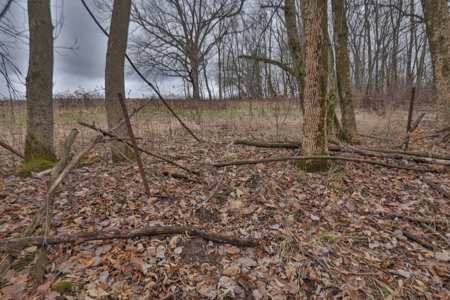 Hunting Land for Sale in Vernon County, Wisconsin - image 7