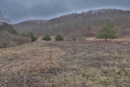Hunting Land for Sale in Vernon County, Wisconsin - image 12