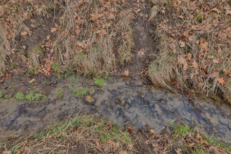 Hunting Land for Sale in Vernon County, Wisconsin - image 13
