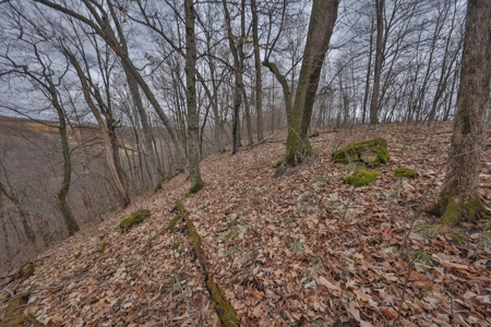 Hunting Land for Sale in Vernon County, Wisconsin - image 34
