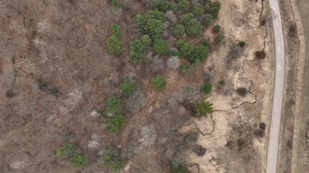 Hunting Land for Sale in Vernon County, Wisconsin - image 23