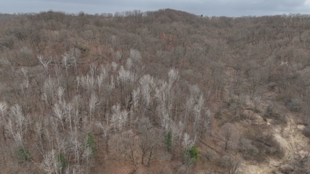 Hunting Land for Sale in Vernon County, Wisconsin - image 20