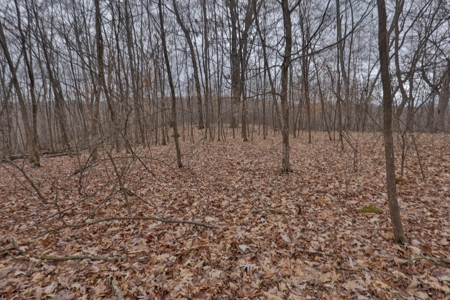 Hunting Land for Sale in Vernon County, Wisconsin - image 10