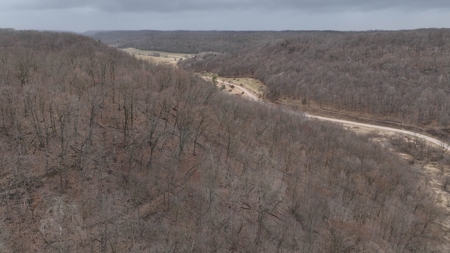Hunting Land for Sale in Vernon County, Wisconsin - image 44