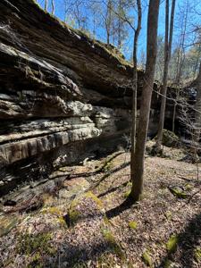 Hunting Land With Caves And Cabins For Sale In Arkansas - image 12