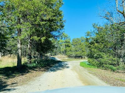 Hunting Land With Caves And Cabins For Sale In Arkansas - image 11