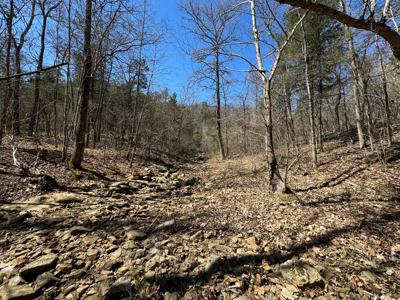 Hunting Land With Caves And Cabins For Sale In Arkansas - image 16