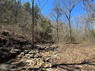 Hunting Land With Caves And Cabins For Sale In Arkansas - image 20