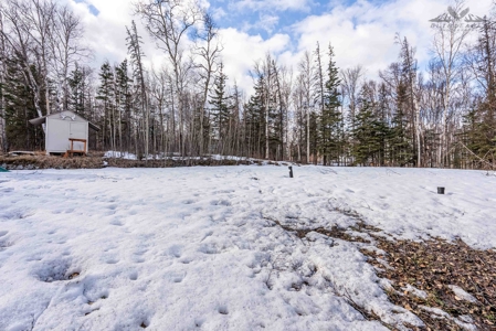 Home for Sale in Wasilla, AK - image 39