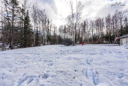 Home for Sale in Wasilla, AK - image 35