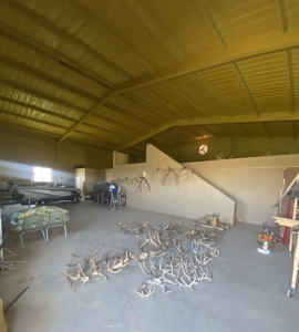 High Fence Game Ranch For Sale In Coleman Texas - image 19
