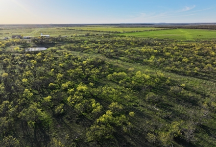 High Fence Game Ranch For Sale In Coleman Texas - image 6