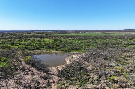 High Fence Game Ranch For Sale In Coleman Texas - image 3