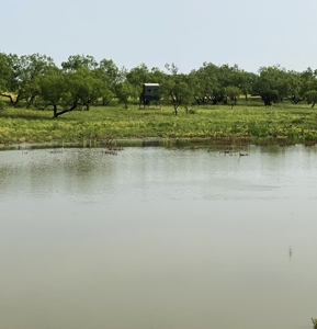 High Fence Game Ranch For Sale In Coleman Texas - image 8