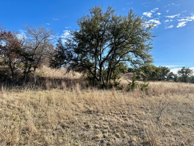 Home Lot 194 The Hideout Golf Course Lake Brownwood, TX - image 6