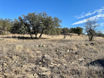 Home Lot 194 The Hideout Golf Course Lake Brownwood, TX - image 9