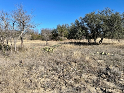 Home Lot 194 The Hideout Golf Course Lake Brownwood, TX - image 2