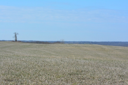 Iowa Land For Sale - image 9