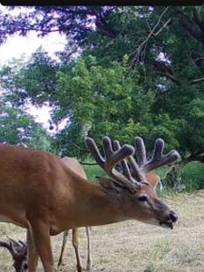 Iowa Land For Sale - image 12