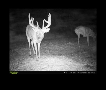 Iowa Land For Sale - image 11
