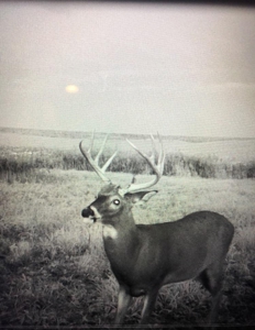 Iowa Land For Sale - image 10