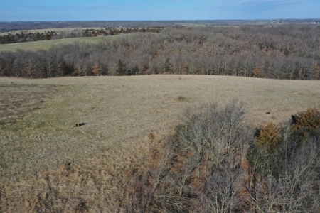 Southern Iowa Land For Sale - image 19