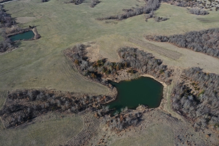 Southern Iowa Land For Sale - image 4