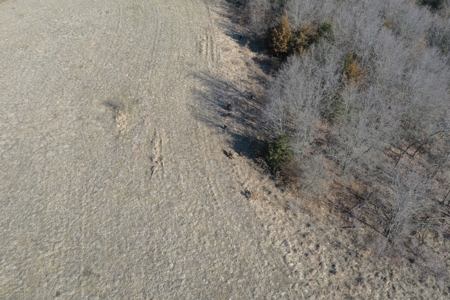Southern Iowa Land For Sale - image 20