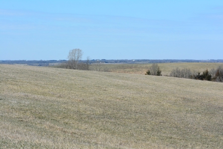 Southern Iowa Land For Sale - image 14