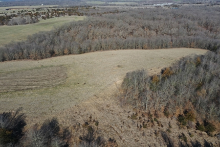 Southern Iowa Land For Sale - image 18