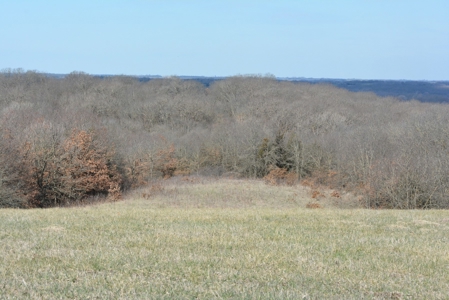 Southern Iowa Land For Sale - image 15