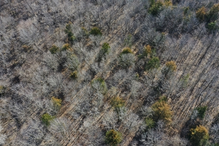 Southern Iowa Land For Sale - image 22