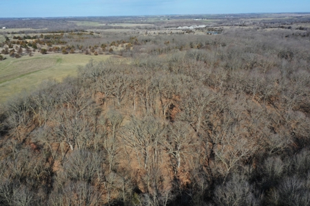 Southern Iowa Land For Sale - image 24