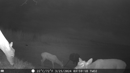 160-Acre Trophy Deer Hunting & Agriculture  | Clinton, OK - image 44