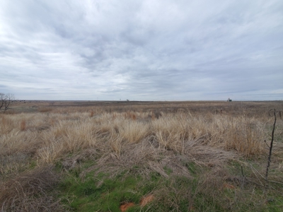 160-Acre Trophy Deer Hunting & Agriculture  | Clinton, OK - image 37