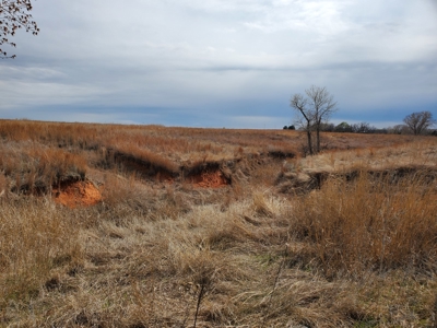 160-Acre Trophy Deer Hunting & Agriculture  | Clinton, OK - image 42