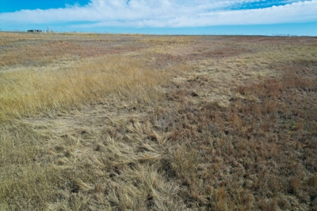 160-Acre Trophy Deer Hunting & Agriculture  | Clinton, OK - image 33