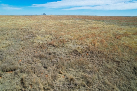 160-Acre Trophy Deer Hunting & Agriculture  | Clinton, OK - image 16