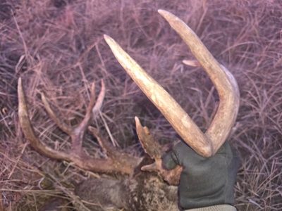 160-Acre Trophy Deer Hunting & Agriculture  | Clinton, OK - image 47